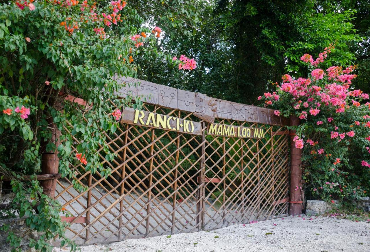 Glamping Mama Loo Mm بويرتو موريلوس المظهر الخارجي الصورة
