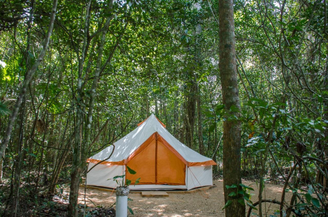 Glamping Mama Loo Mm بويرتو موريلوس المظهر الخارجي الصورة