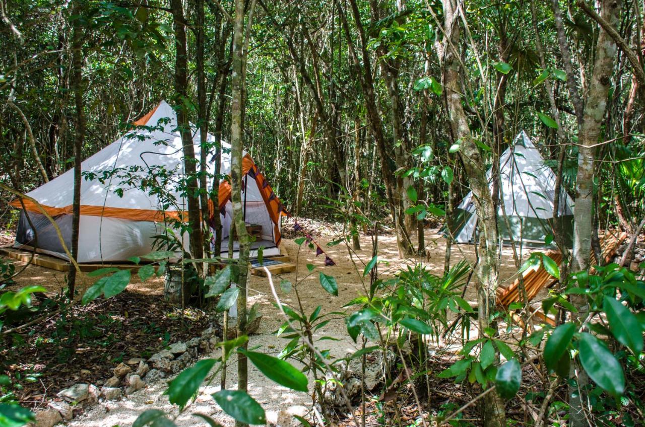 Glamping Mama Loo Mm بويرتو موريلوس المظهر الخارجي الصورة